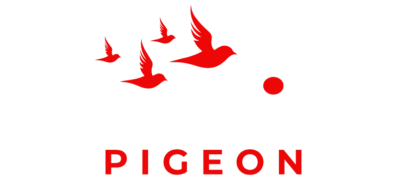 Branding Pigeon